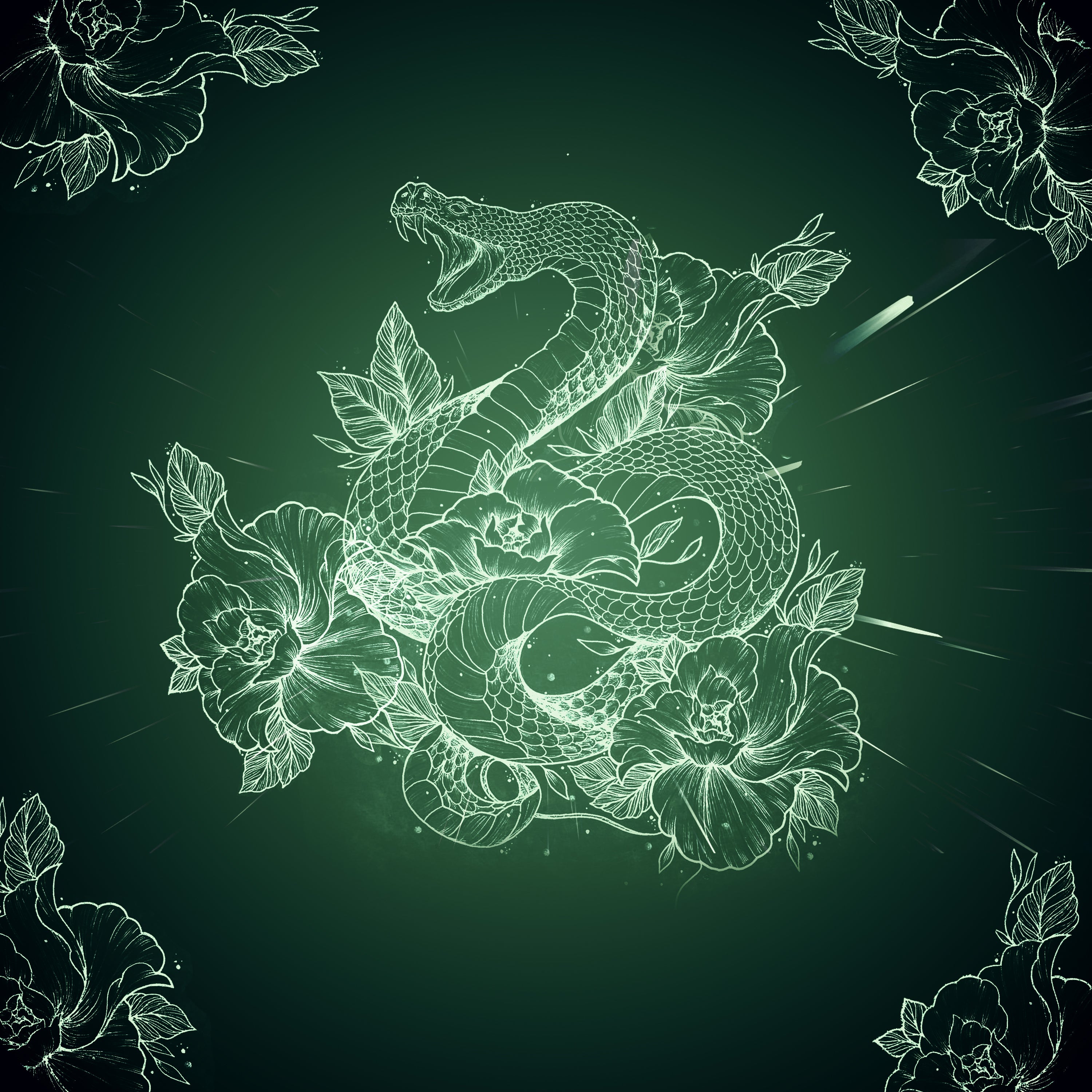 Shizzo - Cobra - Guitar Tabs